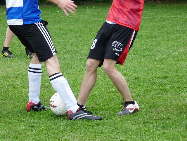 彩绝伦的篮 彩绝伦的篮