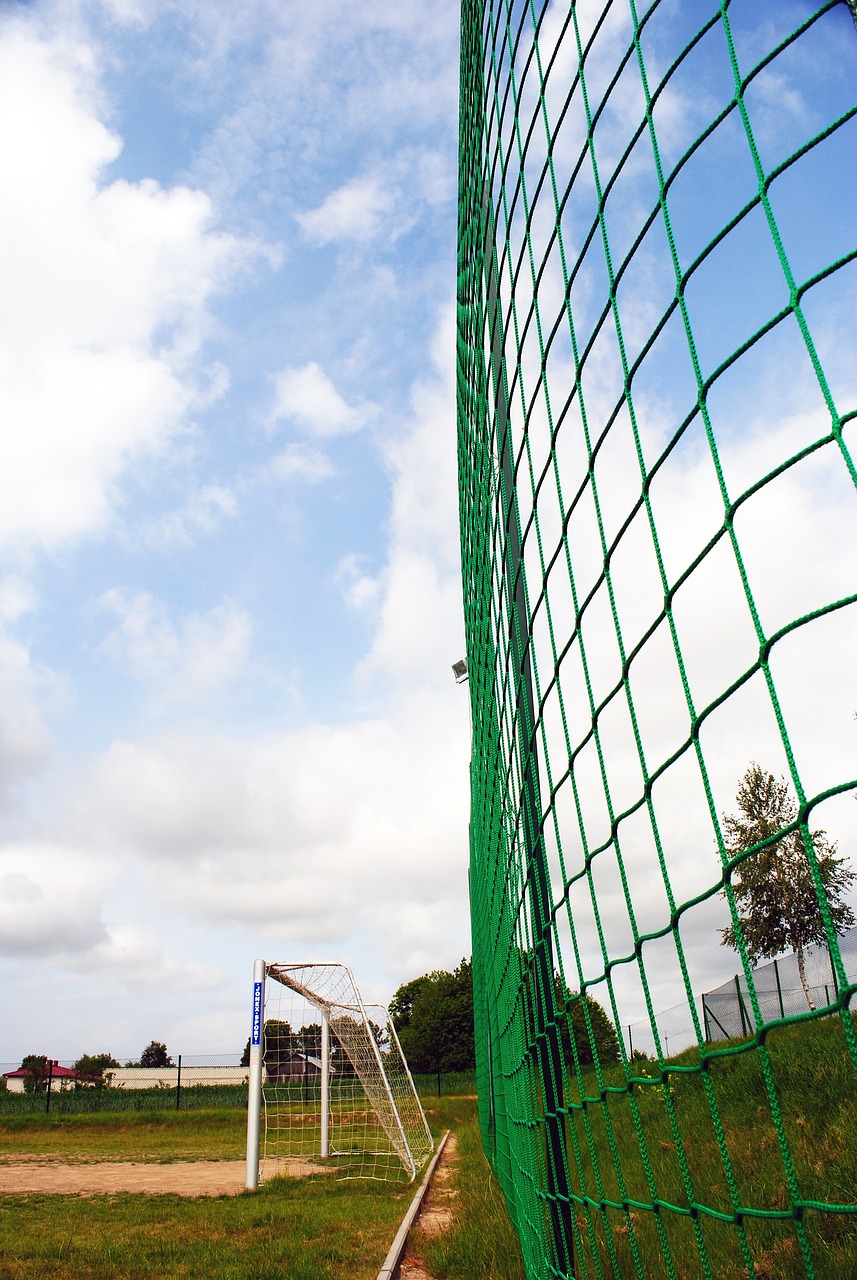 玩家们可以 玩家们可以