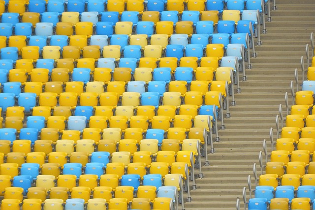 上海申花的 上海申花的