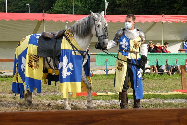 扬帆起航 扬帆起航