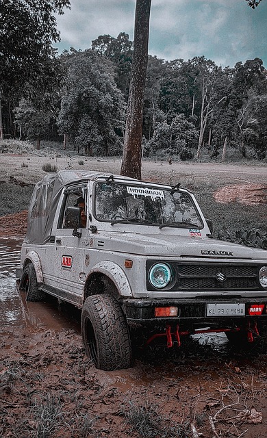 每支队伍都 每支队伍都